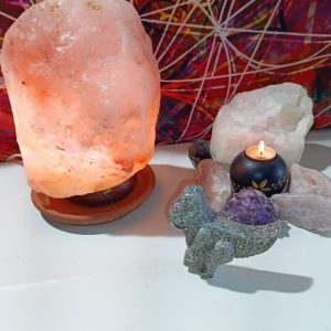 Orgonita Auténtica / Electronite Dinosaurio decorativo Grande Mod. 1