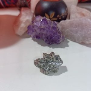 Orgonita Auténtica / Electronite Dinosaurio pequeño Modelo 4