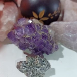 Orgonita Auténtica / Electronite Dinosaurio pequeño Modelo 4