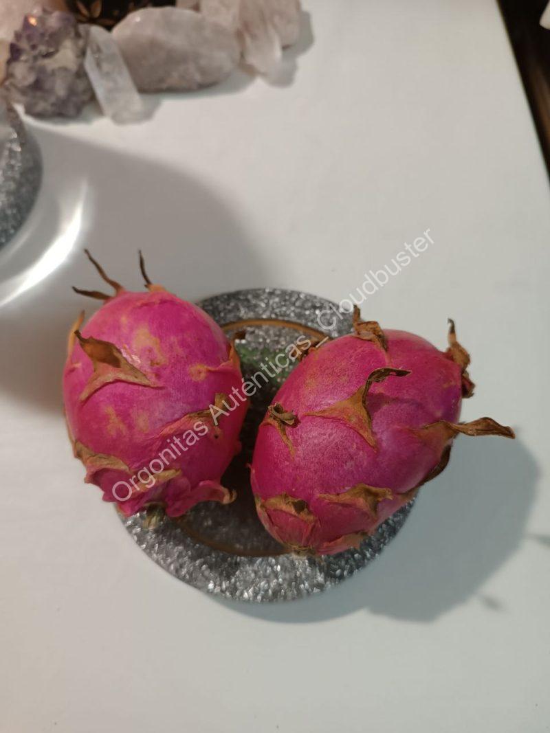 Disco Revitalizador Líquidos y Alimentos. EMF. - Imagen 8