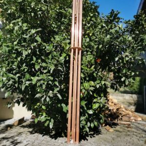 Cloudbuster Maxi Buda